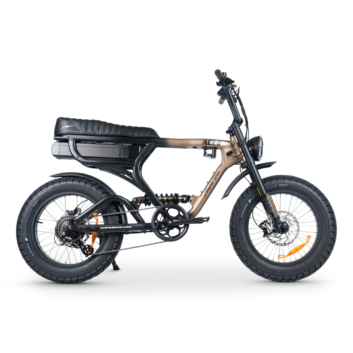 ACE-X PRO Electric Bike