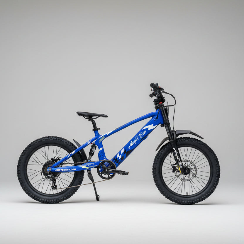 EVO Racing Fender Mudguard Set