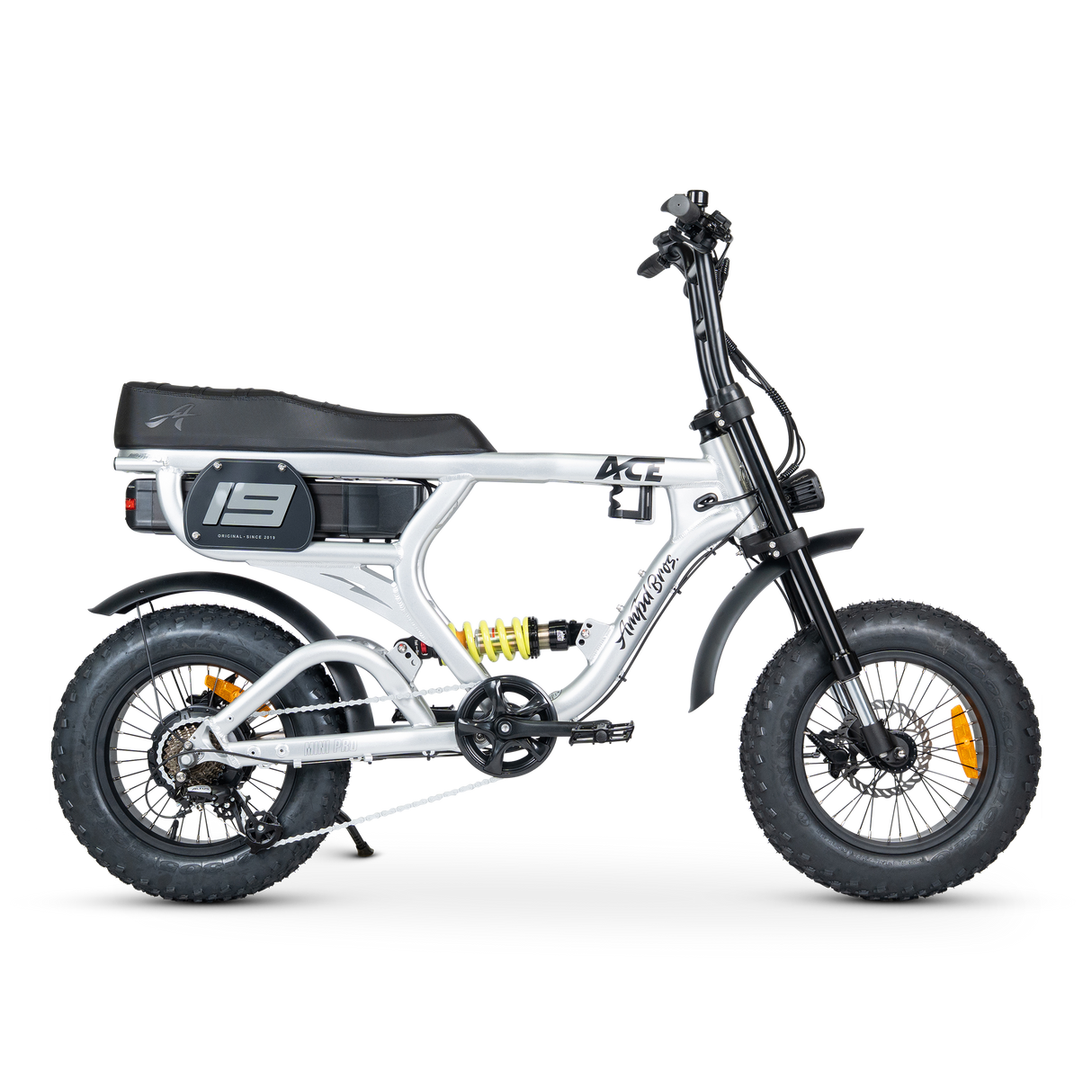 ACE-X Mini PRO Electric Bike