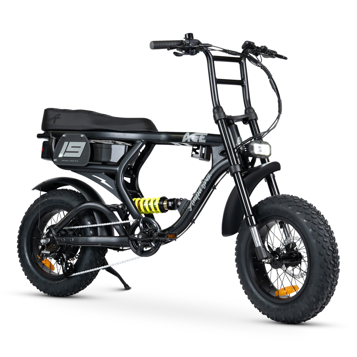ACE-X Mini PRO Electric Bike
