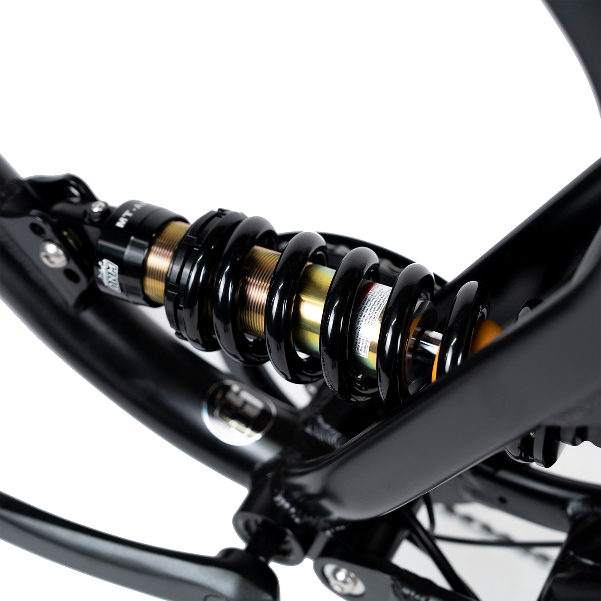 ACE-X Demon S5 Dual Electric Bike