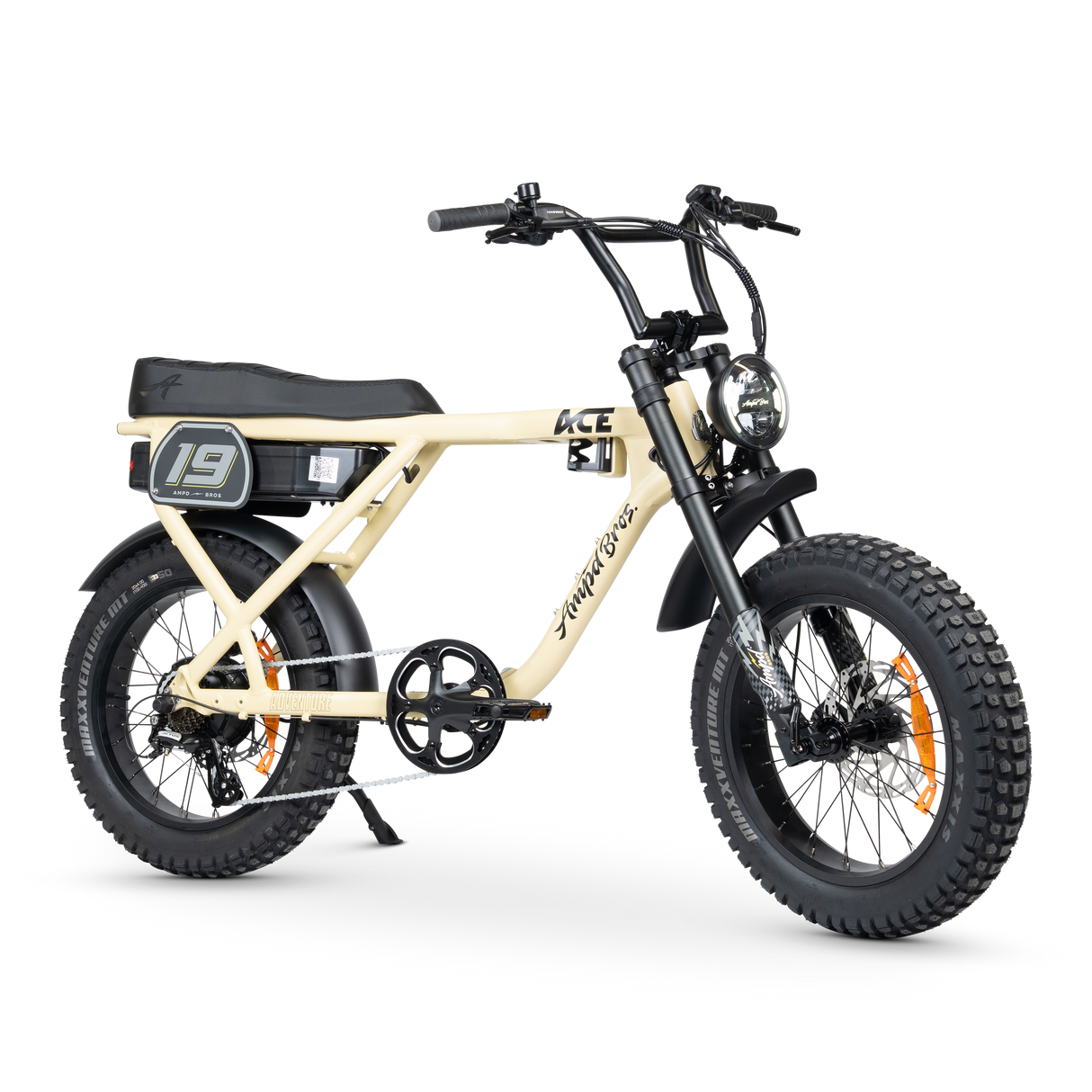 ACE-X Adventure Electric Bike