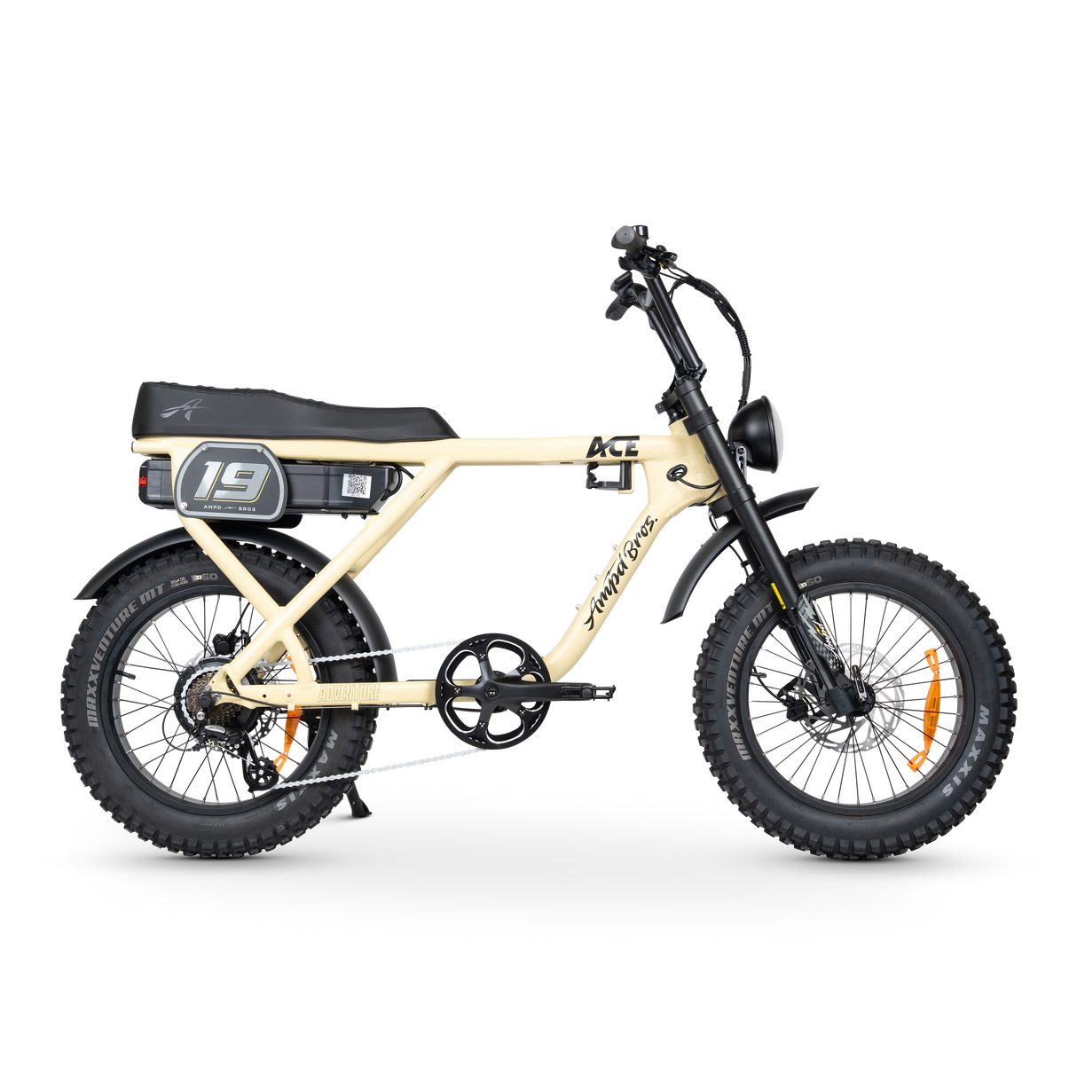 ACE-X Adventure Electric Bike