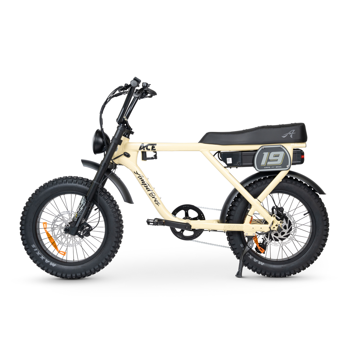 ACE-X Adventure Electric Bike