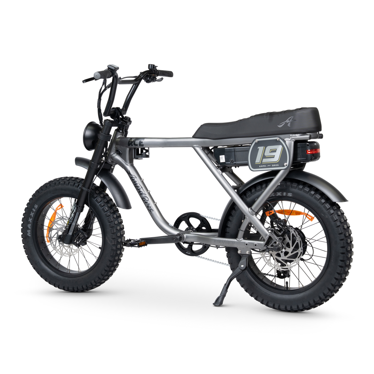 ACE-X Adventure Electric Bike