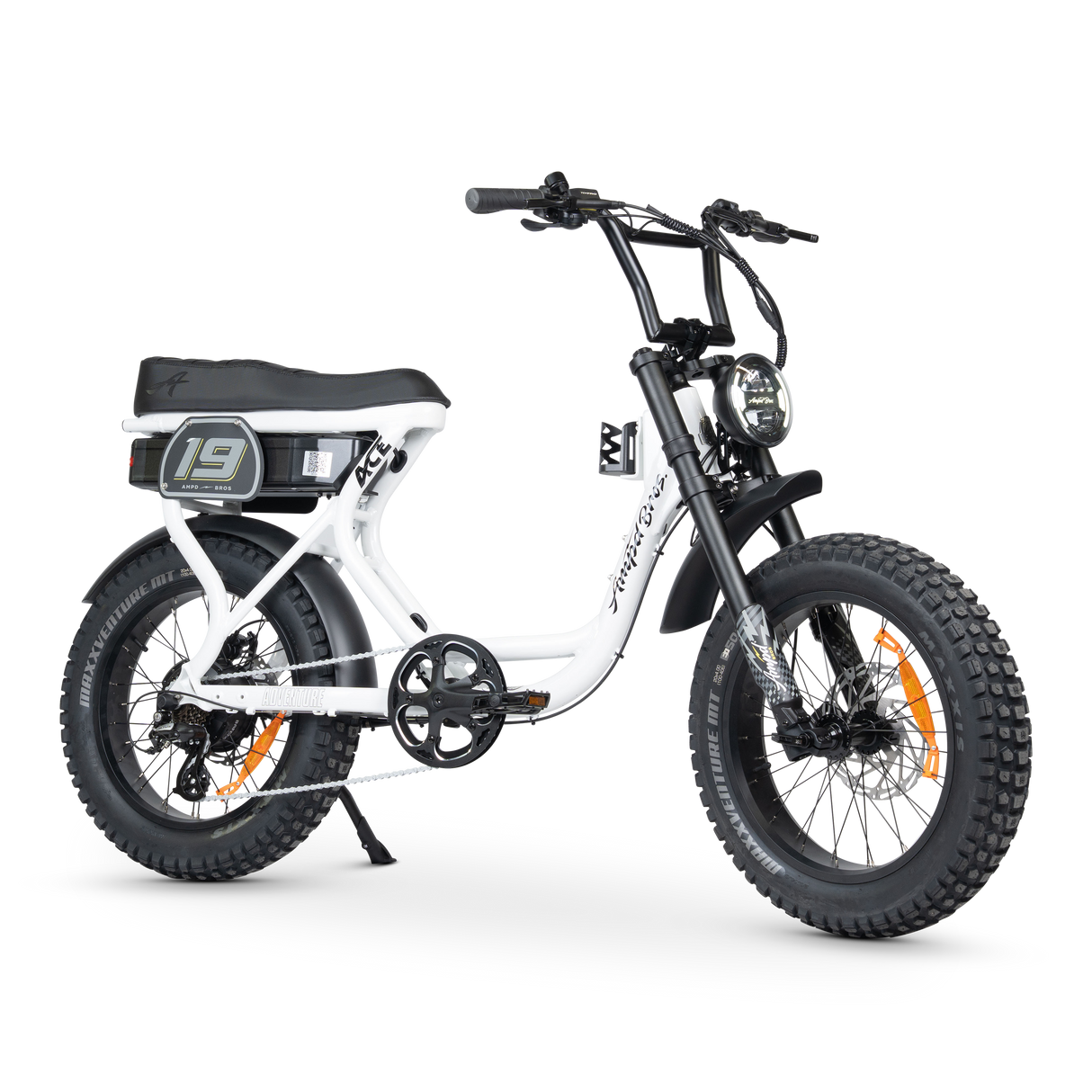 ACE-S Adventure Electric Bike