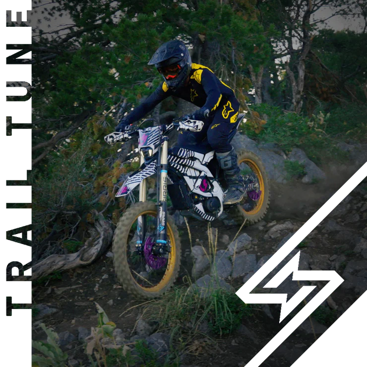 Ultra Bee Sirris F43 Trail Tune Fork