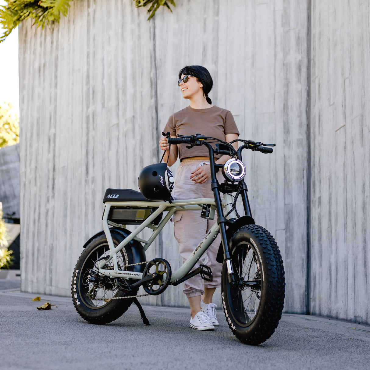 ACE-X Plus+ Electric Bike