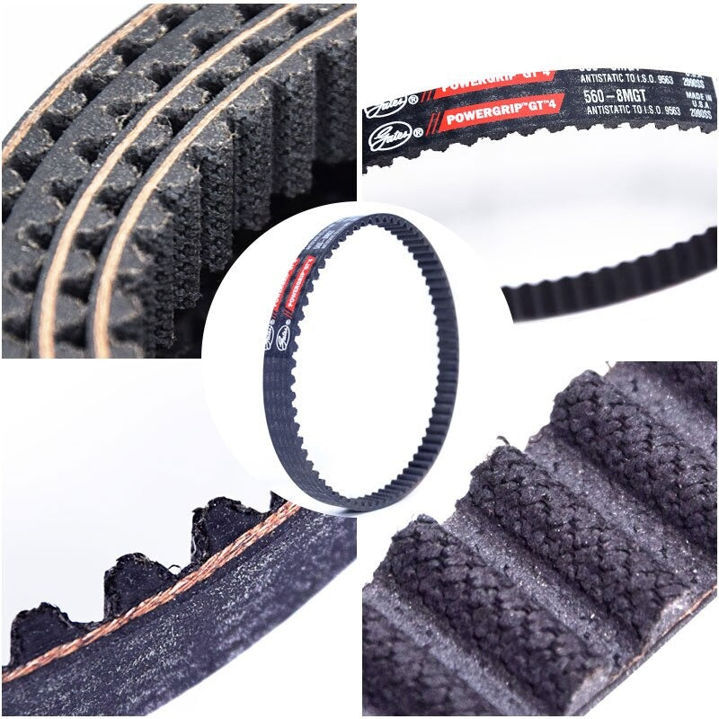 Light Bee Motor Drive Belt