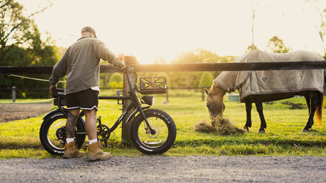 Cargo Ready Electric Bikes