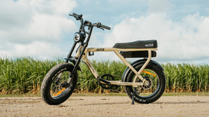 ACE Series 4