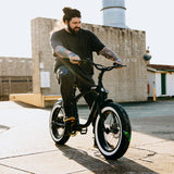 Stubbie Original S2 Electric Bike