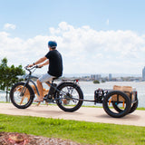 CHUBBIE 2 Electric Beach Cruiser Bike