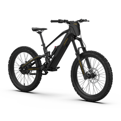 EVO Racing 24" PRO Electric Bike