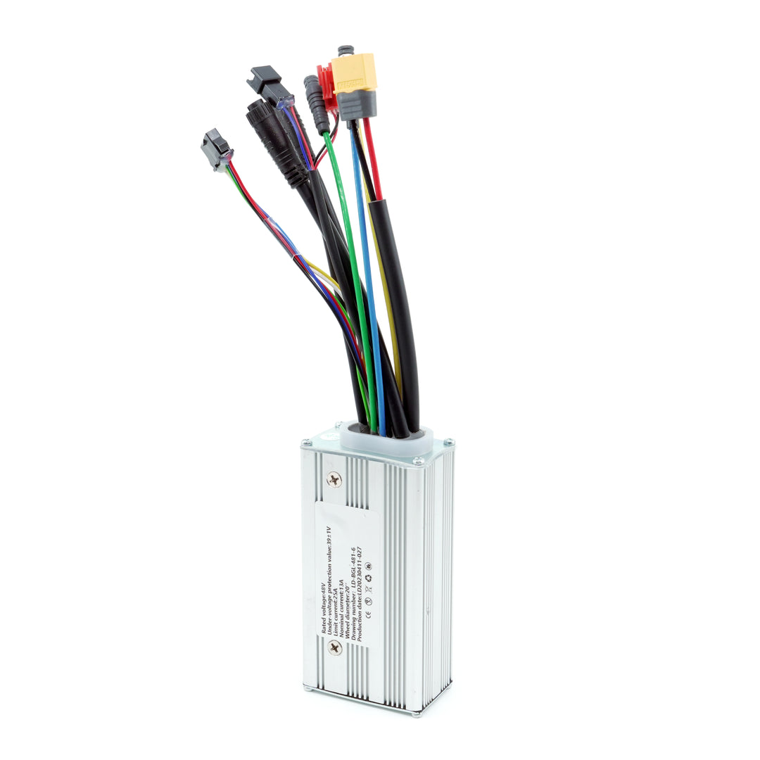 ACE Electric Bike Controller Module