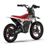 WARRIOR KIDS SX-E500 Electric Bike