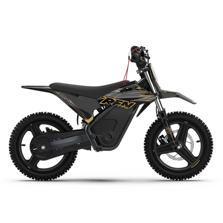 WARRIOR KIDS SX-E500 Electric Bike