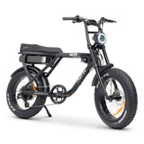 ACE-X Electric Bike