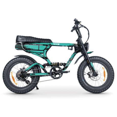 ACE-X SCRATCHED Sticker Decal Kit