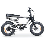 ACE-X SCRATCHED Sticker Decal Kit