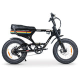 ACE-X RAINBOW Sticker Decal Kit