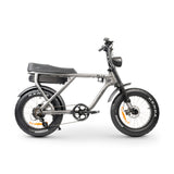 ACE-X Plus+ Electric Bike