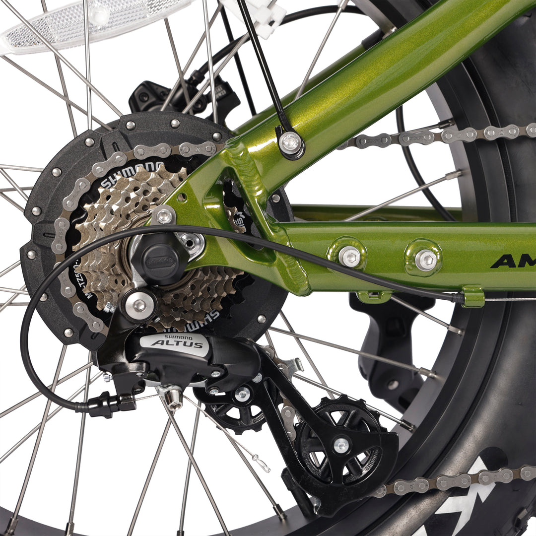ACE-X PRO Dual Suspension Electric Bike