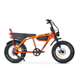 Taipan Electric Bike