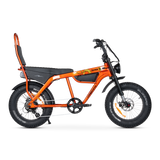 Taipan Electric Bike