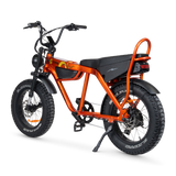 Taipan Electric Bike