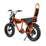 Taipan Electric Bike