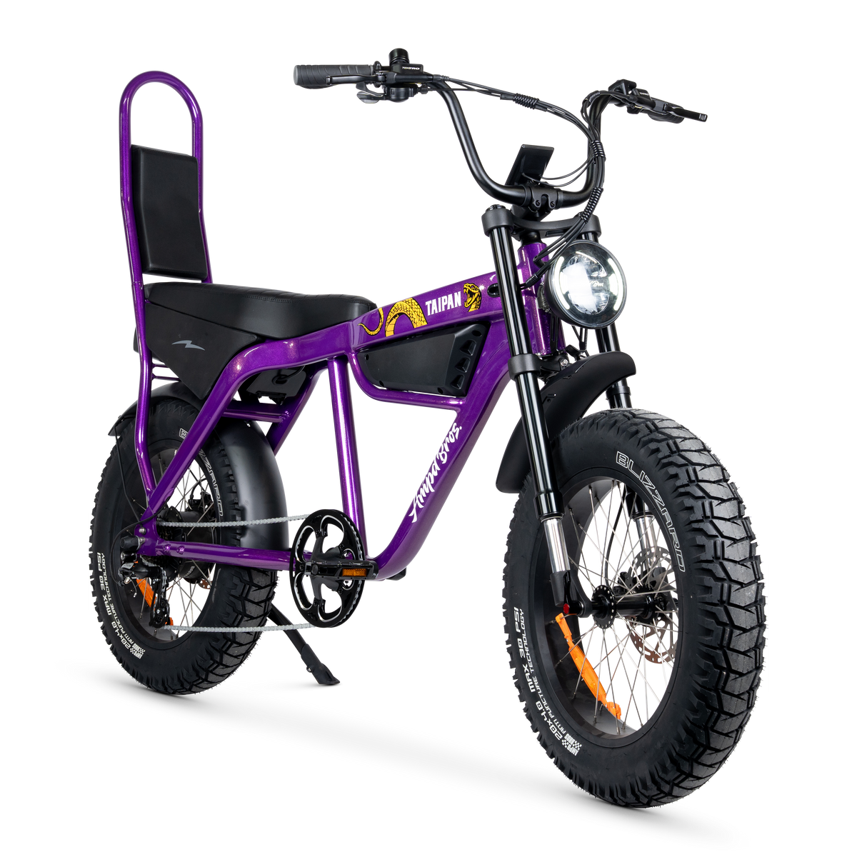 Taipan Electric Bike