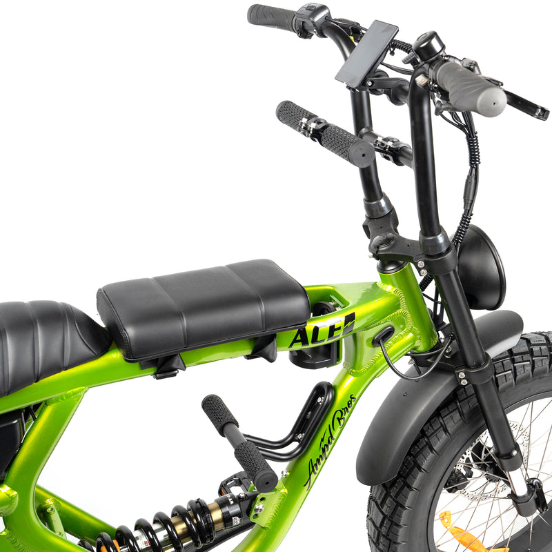 Photo inspiration: Gallery Detail: Thrill Seekers Seat Covers For Ace Bike