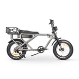 ACE-X Cargo MAX Electric Bike