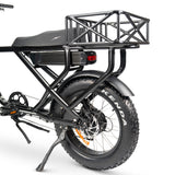 ACE-X Cargo MAX Electric Bike