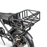 ACE-X Cargo MAX Electric Bike