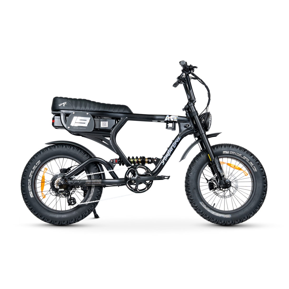 ACE PRO Electric Bike