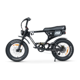 ACE PRO Electric Bike