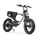 ACE PRO Electric Bike