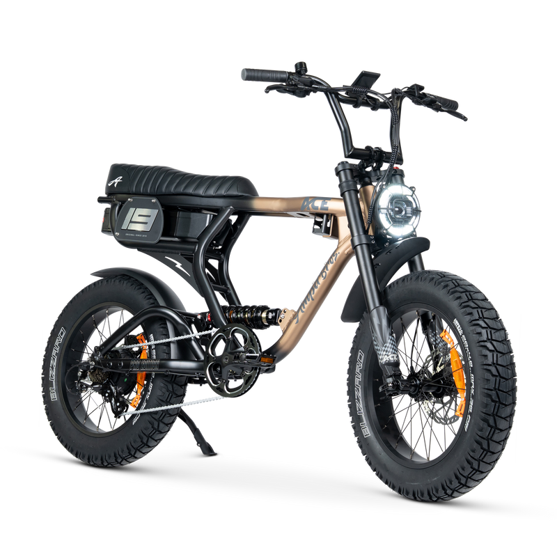 ACE PRO Electric Bike