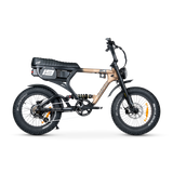 ACE PRO Electric Bike