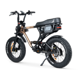 ACE PRO Electric Bike