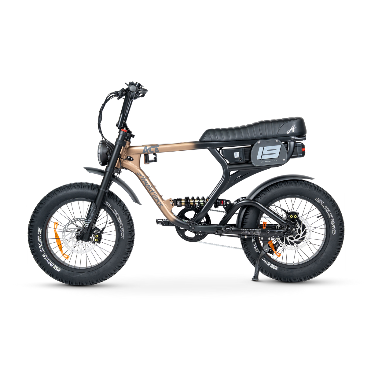 ACE PRO Electric Bike