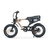 ACE PRO Electric Bike