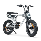 ACE PRO Electric Bike