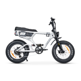 ACE PRO Electric Bike