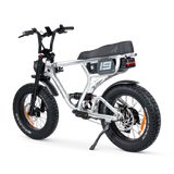 ACE PRO Electric Bike