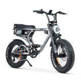 ACE PRO Electric Bike