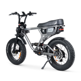 ACE PRO Electric Bike