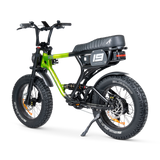 ACE PRO Electric Bike